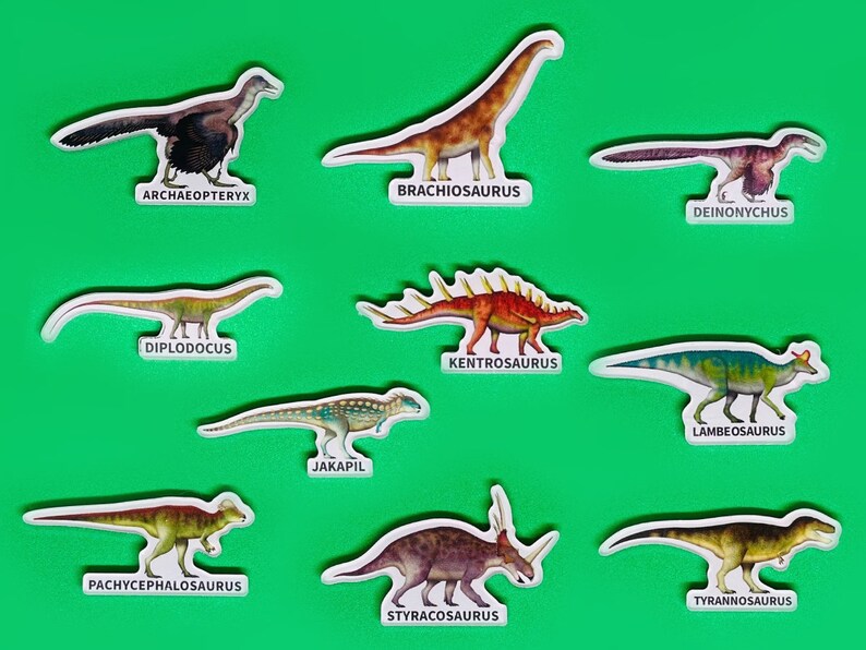 Realistic Dinosaur Magnets image 1