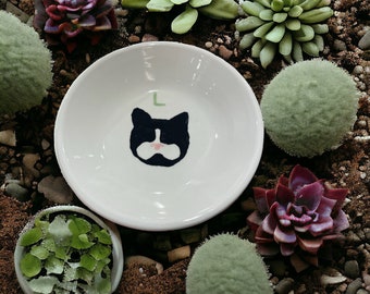 Cat bowl