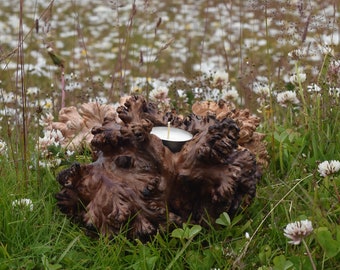 Wooden candle holders made of lenga beech nodes