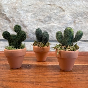 Mini handmade needlefelted cactus spine free desert decor hand crafted desert gift desert art wool cactus decor felted saguaro prickly pear