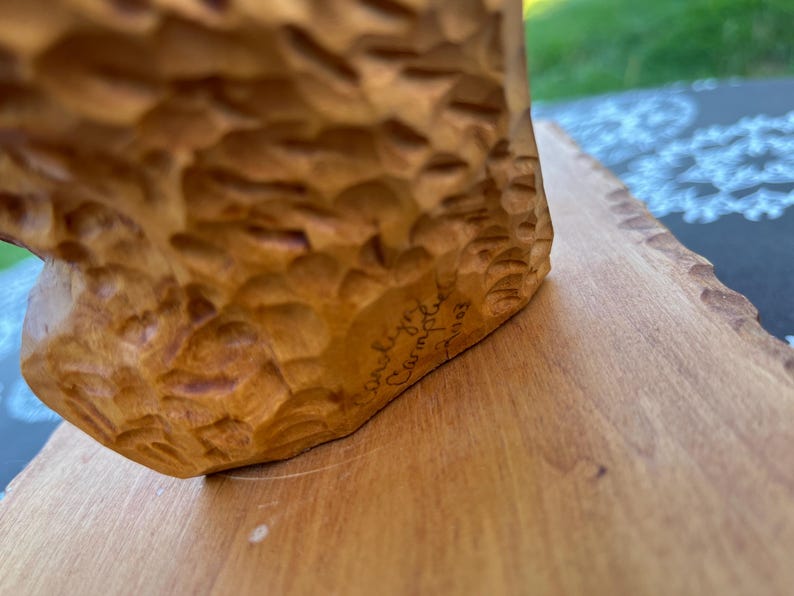 Native American Man Chief Art Bust Bear Skin Headdress Solid Wood