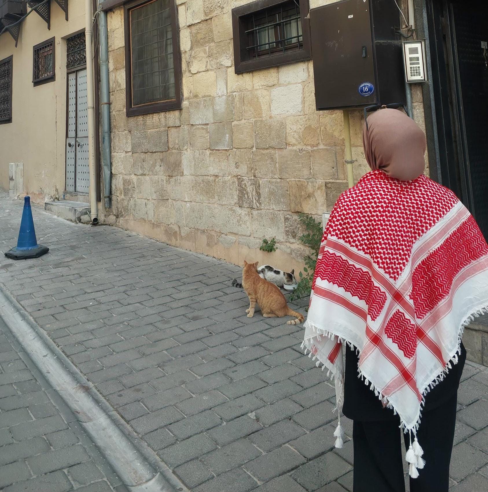 Black & White, White Red Traditional Keffiyeh Scarf - Tasseled Palestinian Shemagh - Soft Beautiful Hijab - Men Women Keffiyeh Gift Idea