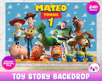 Toy Story Backdrop with name and age