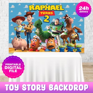 Toy Story Backdrop with name and age