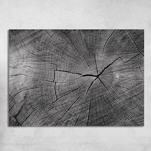 Tree Stump Print, wood slice print, nature theme art, Tree Ring Art Print, Tree Ring Print, Log print, Tree Print, Log Slice, Wood Prints