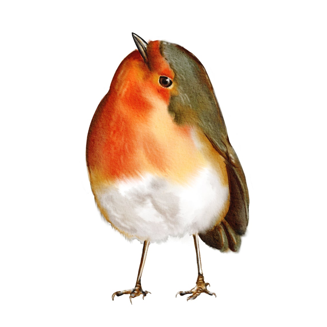 PRINTABLE Robin Print, Watercolor Bird, Wall Art, Poster, Robin