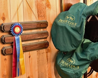 Handgemaakt displayrek met paardenlint van walnoot en populier: wanddecoratie Equestrian Award