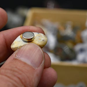 May include: A small, oval-shaped, beige and tan stone with a silver-colored, circular magnet attached to its surface. The stone is held between fingers, with a blurred background of other stones.