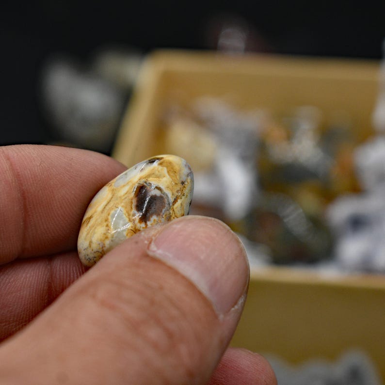 May include: A small, oval-shaped stone with a mix of tan, brown, and white colors. The stone is held in a person's hand, with a blurred background of other stones and a container.