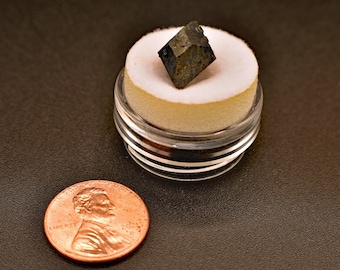 Oregon Augite Crystal: Dodecaëdrische steen van verandering in displaydoos