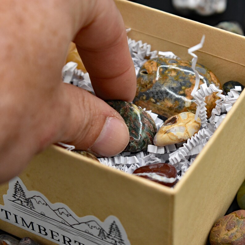 May include: A hand reaching into a small, tan box filled with various polished stones. The stones are in shades of brown, green, and tan, nestled in white paper filler. The box has a sticker with a mountain and tree design and the word "TIMBER".