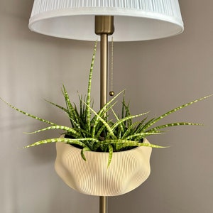 May include: A white lampshade with a gold metal base and a chain hanging from the top. A green plant with white stripes is in a cream-coloured planter hanging from the lamp base.