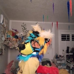 May include: A colorful furry animal head with a yellow, blue, and black face. The head is attached to a yellow sweatshirt. The animal has a red, blue, and green tail.