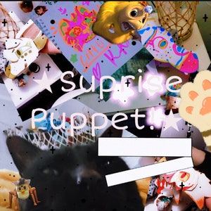 Surprise puppet! (Pics are examples of what I make)