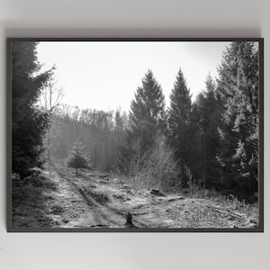 Digital download - Black and white landscape nature