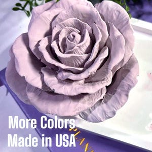 Rose Essential Oil Aroma Stone Set | Decorative Flower Passive Diffuser | Eco-Friendly Gift for Mom, Sister Co-Worker | Office Home Decor