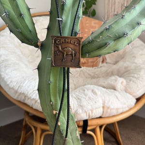 Authentic Vintage Camel Cigarettes Belt Buck (1981) Western Bolo Tie | Handmade Jewelry, Southwestern Accessory image 7