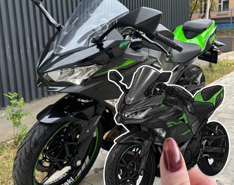 カワサキ Ninja 300 2013-2017 ZX-3R テーマ グラフィック
