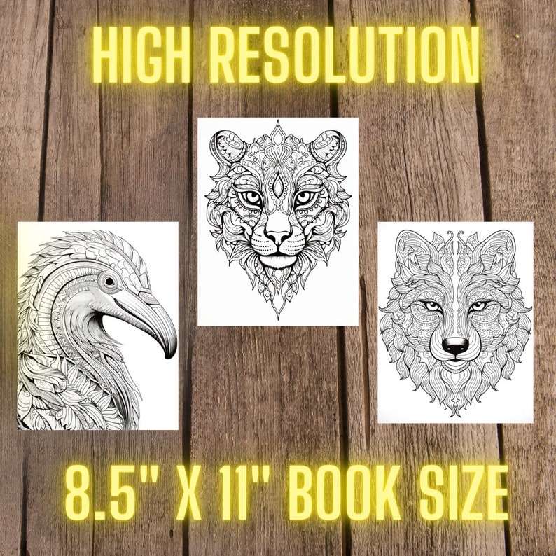 Animal Mandala Coloring Pages, Printable Art Therapy (PDF) - Etsy