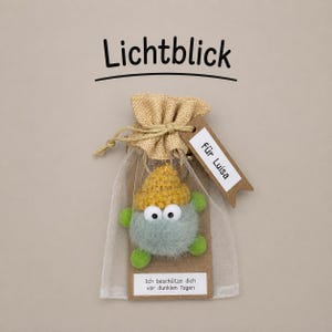 Könnte beinhalten: Ein flauschiger hellgrüner Figuren-Schlüsselanhänger mit gelber Häkelmütze in einem Organzabeutel. Ein braunes Etikett trägt die Aufschrift "Für Luisa" und ein weißes Schild auf der Karte "Ich beschütze dich vor dunklen Tagen". Text oben "Lichtblick".