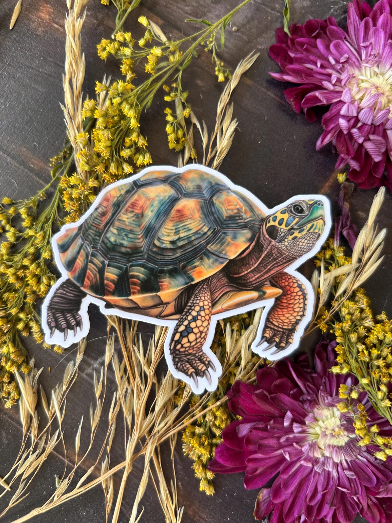 Turtlebox Custom Decal Box Turtle Waterproof Vinyl Sticker - Etsy