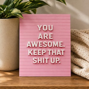 May include: A rectangular pink letter board featuring horizontal grooves and white plastic letters that spell out the phrase, YOU ARE AWESOME. KEEP THAT SHIT UP. The board has a flat surface and is designed for displaying custom messages.
