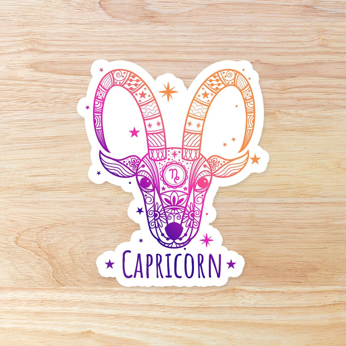 Capricorn Zodiac Astrology Sign: Waterproof Vinyl Sticker - Etsy