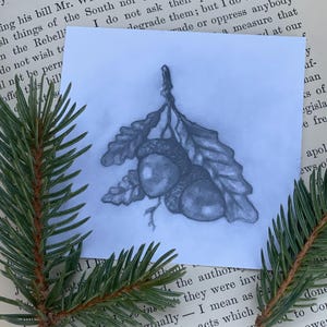 Dibujo a lápiz de bellota, Art Deco, Arte mural, Boho, Ecológico, Caprichoso, Fairycore, Dark Academia, Arte en miniatura, Estética de la naturaleza, Árboles,