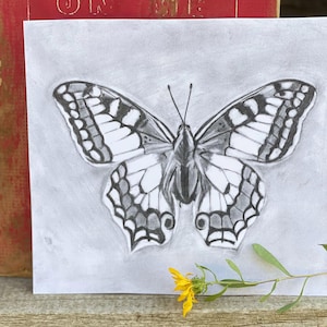 Dibujo a lápiz de mariposa, Art Deco, Arte mural, Naturaleza, Zodíaco, Boho, Excéntrico, Caprichoso, Núcleo rural, Dark Academia, Arte en miniatura, Terroso