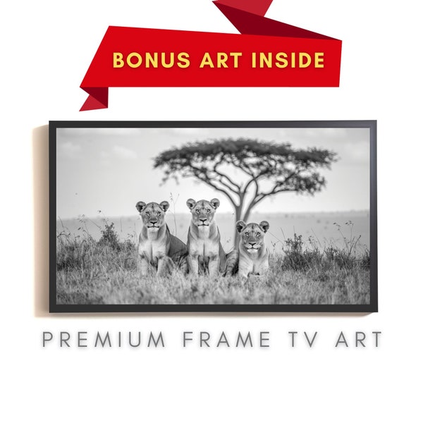 Frame TV Art, Lioness Waiting, Black and White, Digital Download, Sophisticated Design, Modern, Moody, Minimalist