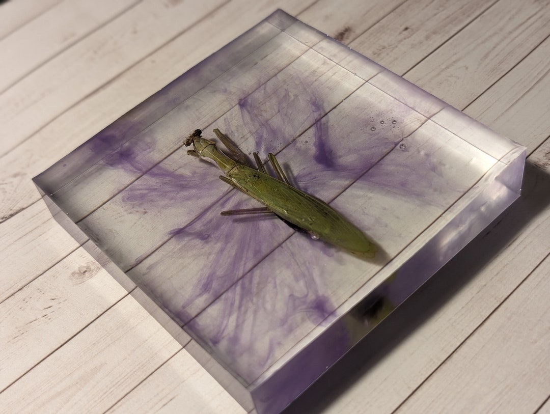 Gallery Detail: Praying Mantis Paper Weight