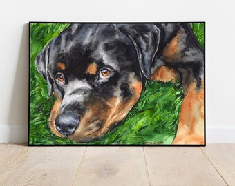 Rottweiler Aquarell Druck: Signierte Hunde Portraitkunst