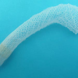 ビーナスフラワーバスケット Euplectella aspergillum 珍しい剥製