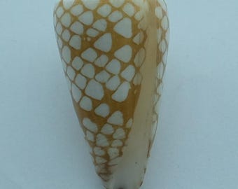 現在、この商品の在庫はありません - Etsy