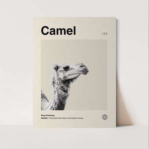 Camel Poster, Minimalist, Helvetica, Mid-Century Modern, Camel Print, camel Wall Art, Camel Art Bundle, Animal Art Work,  Animal Wall Art