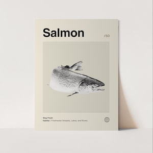 Salmon Poster, Minimalist, Helvetica, Mid-Century Modern, Salmon Print, Salmon Wall Art, Salmon Art Bundle, Animal Art Work, Animal Wall Art