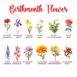 May include: A chart showing the birth month flowers for each month of the year. The flowers are illustrated in watercolor and include a carnation, violet, daffodil, daisy, lily of the valley, rose, larkspur, gladiolus, aster, marigold, chrysanthemum, and holly.