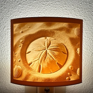 Sand dollar Night Light