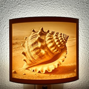 Seashell Beach Night Light