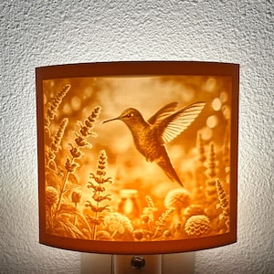Hummingbird Night Light – Auto On/Off Plug-In LED – Floral Wall Decor – Beige or White