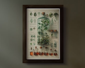 Chlorophyll Science Print Botanical Flower Print Floral Gift Poster Modern Farmhouse Decor Botanical Poster Vintage Inspired Art No.58