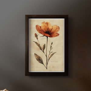 May include: A framed botanical print featuring a large orange flower with detailed petals and a long stem. The artwork is set against a cream-colored background and framed in a dark brown wooden frame. The print is displayed above a wooden bench.