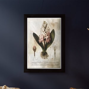 Hyacinth Art Neutral Botanical Plant Art Flower Gift Print Trendy Interior Farmhouse Print Botanical Poster Vintage Inspired Art No.11