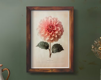 Dahlia Flower Artwork Neutral Botanical Plant Simple Art Flower Print Trendy Interior Farmhouse Botanical Poster Vintage Inspired No.26