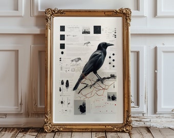 Blackbird Poster Science Art Bird Lover Gift Moody Bird Illustration Wall Design Modern Farmhouse Decor Print Vintage Inspired Art No.50