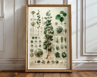 Chlorophyll Science Print Botanical Flower Print Floral Gift Poster Modern Farmhouse Decor Botanical Poster Vintage Inspired Art No.45