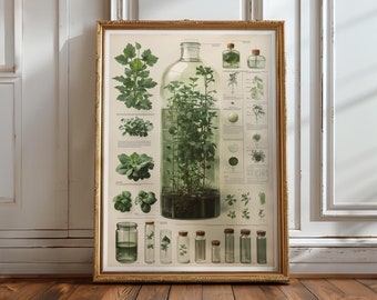 Chlorophyll Science Print Botanical Flower, Vintage Plant Study, Nature Science Art, Greenery Wall Decor, Poster Vintage Inspired Art No.63