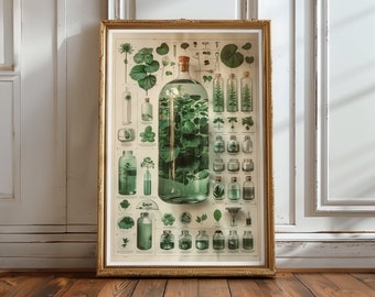 Chlorophyll Science Print Botanical Flower Print Floral Gift Poster Modern Farmhouse Decor Botanical Poster Vintage Inspired Art No.60