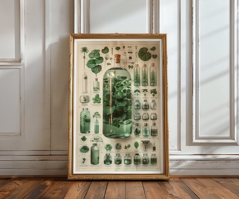 A detailed collection of various plant species, highlighting the wonders of chlorophyll with intricate illustrations and scientific precision. The vintage-style design brings a nostalgic charm, making it a perfect addition to any decor.