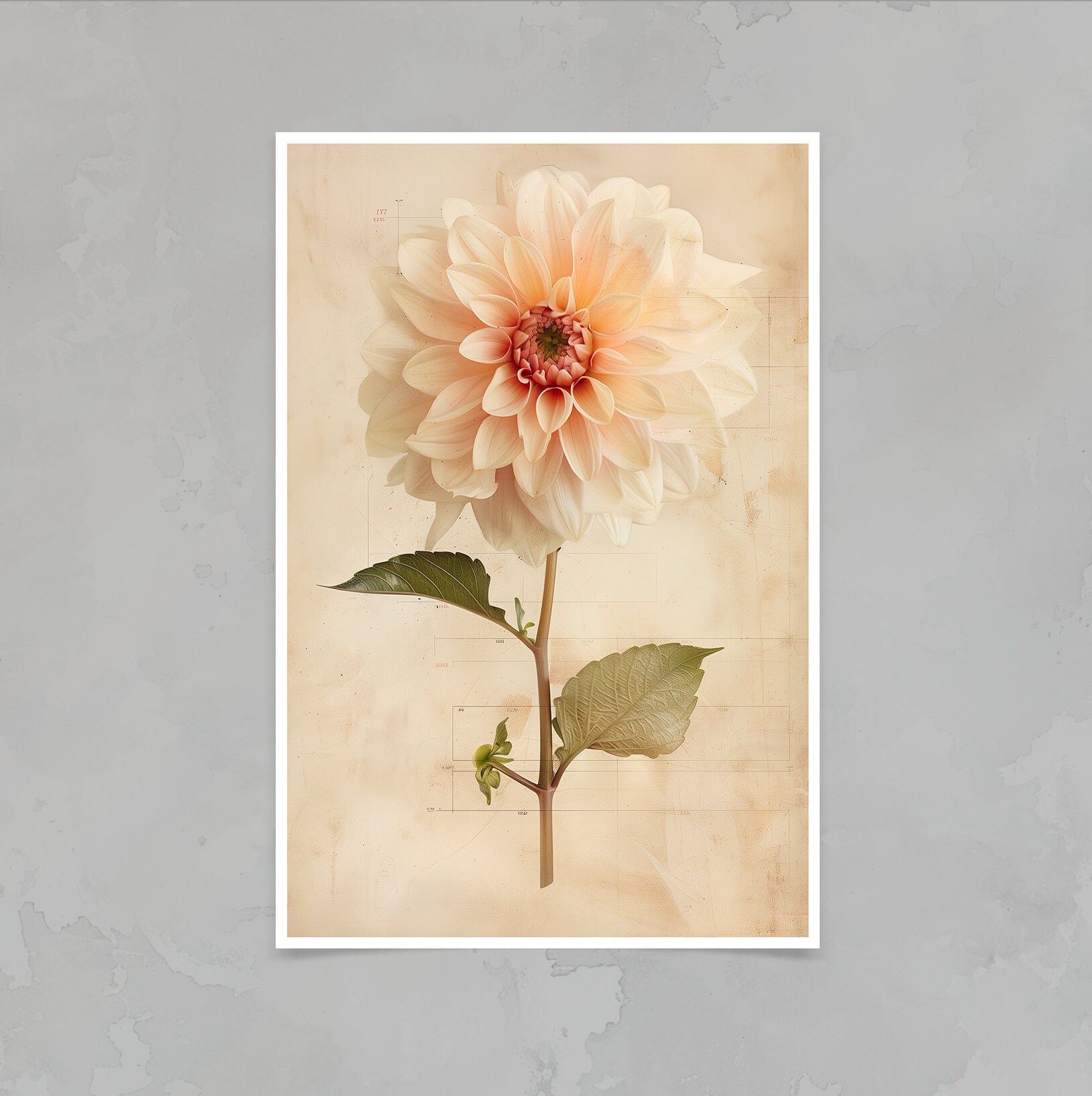 Dahlia Print Botanical Flower Print Floral Gift for Her Poster Modern ...